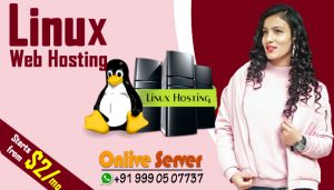 Linux Web Hosting